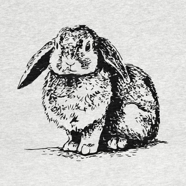 Dwarf Rabbit Charcoal Cute Floppy Ears Bunny by Griffelkinn